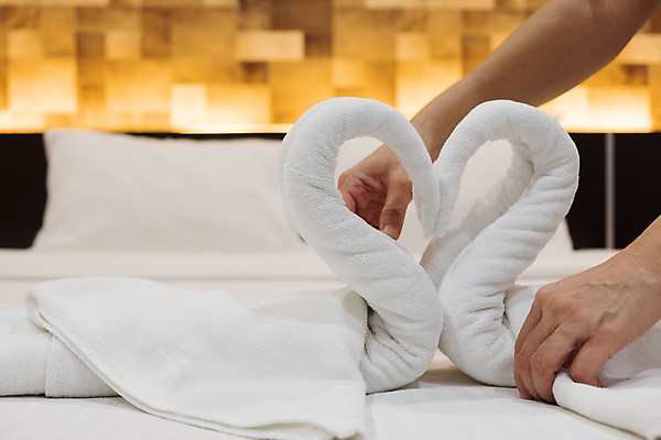 포토 JPG 해외이미지 손 디자인 커플 여행 결혼 호텔 휴가 노동자 새로움 아파트 발렌타인데이 사랑 사람 사람없음 내부 장식 수건 목욕 침실 방 흰색 하트 침대 잡기 변화 청소 직원 서비스 준비 휴양지 만들기 백조 시트 조절 여관 접기 해외포토 모양 직업 감정 컬러 가구 컨셉 관계 모션 데이이벤트 조류 숙소 주택 이벤트 신체부위 위생용품 청결 장소 파일형식 이미지허브