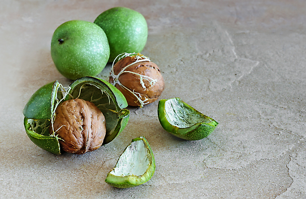 포토 JPG 해외이미지 나무 음식 백그라운드 과일 재료 자연 탁자 건조 실내 건강 사람없음 야외 가로 초록색 갈색 노란색 쌓기 견과류 껍질 시골 신선 그룹 균열 유기농 날것 호두 내추럴 단백질 채식주의자 핵심 카피스페이스 해외포토 식물 웰빙 컬러 가구 모션 내부 공백 생태계 채식 영양소 파일형식 이미지허브