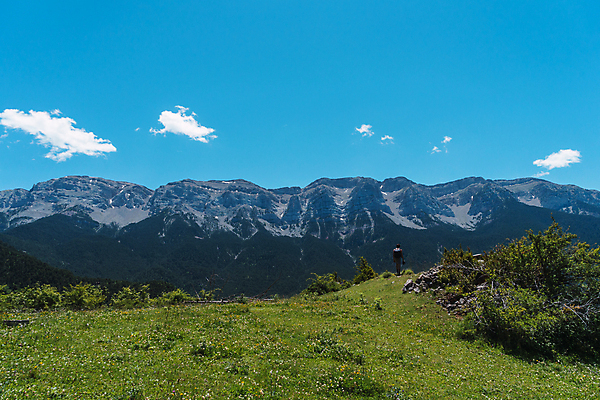 포토 JPG 해외이미지 나무 1 공원 길 여행 자연 하늘 바람 산 한명 풍경 야외 초록색 햇빛 평화 카메라 힘 침묵 산책 손상 하이킹 죽음 숲 오솔길 모험가 사진사 폭풍 탐사 전국 하이커 혼자 해외포토 자연요소 식물 공공시설 컬러 컨셉 레저 날씨 휴식 사람 전자제품 태양 소리 작가 생태계 파일형식 이미지허브