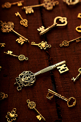 포토 JPG 해외이미지 컨셉 열쇠 골격 안전 사람없음 목재 세트 갈색 금속 수확 골동품 오픈 화려 그룹 황금 오브젝트 복고 보안 옛날 해외포토 나무 컬러 농업 재료 재질 파일형식 이미지허브