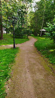 포토 JPG 해외이미지 나무 식물 계절 공원 도로 길 여행 백그라운드 낙엽 잎 자국 자연 풍경 사람없음 야외 목재 초록색 여름 빛 환경 정원 맑음 침묵 봄 산책 하이킹 시골 숲 오솔길 열대우림 먼지 내추럴 방법 삼림지대 해외포토 공공시설 컬러 재료 교통시설 레저 날씨 휴식 소리 생태계 파일형식 이미지허브