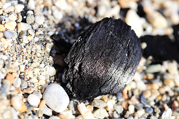 포토 JPG 해외이미지 모래 파도 바다 여행 백그라운드 자연 풍경 해변 사람없음 야외 물 여름 빛 모래사장 햇빛 질감 칠면조 내추럴 석탄 이국적 해외포토 자연요소 계절 조류 태양 생태계 파일형식 이미지허브