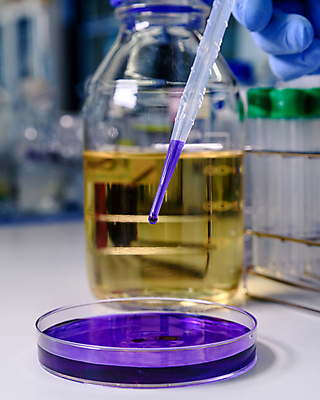 포토 JPG 해외이미지 그릇 과학 컨셉 건강 병원 실험 사람없음 스터디 약 장비 액체 실험실 바이러스 떨어짐 질병 생명공학 과학자 플라스크 분석 생물학 감염 미생물 유리그릇 튜브 조제 혁명 개발 돌봄 피펫 화학물질 살균 해외포토 직업 식기 교육 의학 모션 유리 생물 실험기구 학습 화학 만들기 학자 파일형식 이미지허브