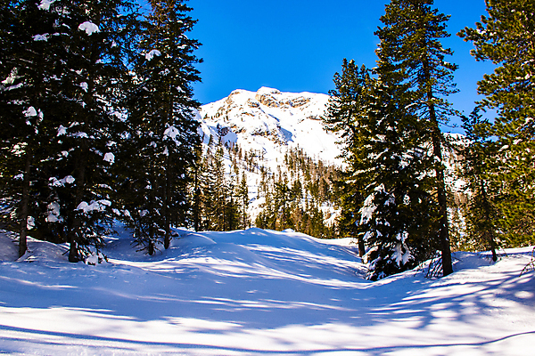포토 JPG 해외이미지 나무 계절 유럽 여행 크리스마스 겨울 자연 하늘 날씨 휴가 스키 산 파노라마 풍경 사람없음 야외 파란색 환경 얼음 이탈리아 트래킹 하이킹 추위 흰색 소나무 정상 알프스 북쪽 산봉우리 절정 프리스타일 해외포토 자연요소 식물 기념일 나라 컬러 레저 겨울스포츠 촬영기법 방향 생태계 봉우리 파일형식 이미지허브