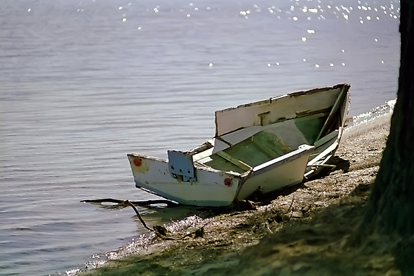 포토 JPG 해외이미지 모래 바다 여행 교통시설 낚시 항해 사람없음 물 파란색 금속 시골 보트 역사 작음 버리기 부식 구식 깨짐 썩음 옛날 재앙 해외포토 자연요소 컬러 교통 컨셉 배_교통 모션 재질 레저 크기 시설 파일형식 이미지허브