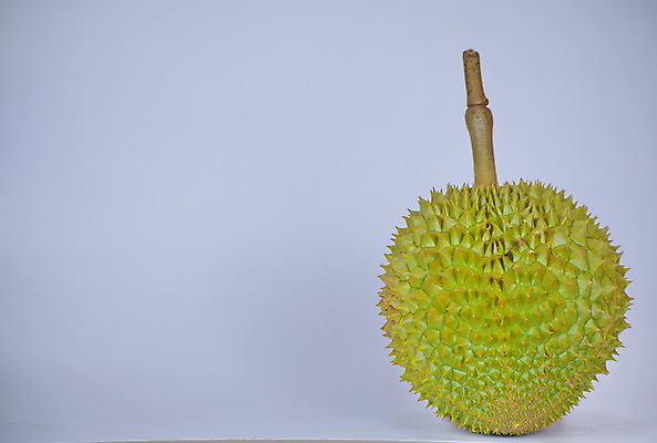 포토 JPG 해외이미지 계절 아시아 음식 백그라운드 과일 재료 부분 태국 자연 디저트 건강 동양인 사람없음 초록색 노란색 흰색 신선 가시 달콤 맛 왕 유기농 날것 냄새 고립 숙성 이국적 해외포토 웰빙 나라 컬러 컨셉 인종 생태계 파일형식 이미지허브