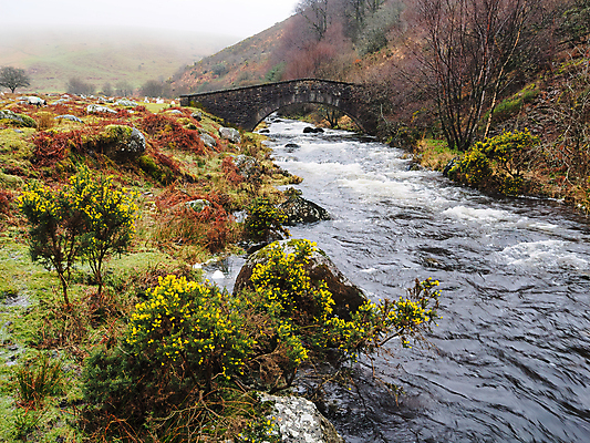 포토 JPG 해외이미지 구름 공원 자국 자연 잉글랜드 파노라마 풍경 사람없음 야외 물 강 노란색 걷기 맑음 침묵 하이킹 흐름 바위 흰색 시골 개울 황무지 오솔길 청소 언덕 지역 멀리 고립 다트무어 서쪽 선로 울퉁불퉁 전국 화강암 해외포토 자연요소 공공시설 길 컬러 컨셉 모션 레저 날씨 영국 촬영기법 소리 암석 방향 생태계 파일형식 이미지허브