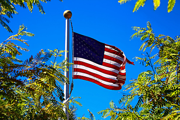 포토 JPG 해외이미지 별 물결 크리스마스 휴가 사람없음 초록색 평화 미국 줄무늬 자유 깃발 4 성조기 불기 심볼 질감 캘리포니아 애국심 독립 잔물결 전국 힘찬 카피스페이스 이민 그리너리 해외포토 자연요소 기념일 컬러 이동 컨셉 북아메리카 무늬 모션 숫자 공백 국기 파일형식 트랜드컬러 이미지허브