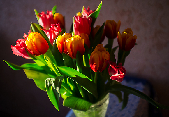 포토 JPG 해외이미지 손 꽃 꽃다발 백그라운드 꽃무늬 자연 관리 선물 사람없음 장식 빨간색 초록색 컬러풀 노란색 봄 튤립 벚꽃 흰색 축하 신선 잡기 다발 고립 해외포토 식물 계절 컬러 컨셉 무늬 모션 신체부위 생태계 파일형식 이미지허브