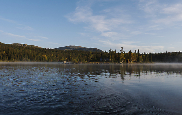 포토 JPG 해외이미지 나무 호수 여행 백그라운드 오렌지 자국 자연 하늘 아침 산 스웨덴 풍경 사람없음 야외 초록색 물 여름 컬러풀 햇빛 태양 반사 일출 환경 일몰 하이킹 안개 가을 시간 황금 숲 오두막 언덕 시골집 북쪽 자작나무 내추럴 해외포토 주간 자연요소 식물 계절 컬러 과일 레저 날씨 주택 북유럽 노을 방향 생태계 파일형식 이미지허브