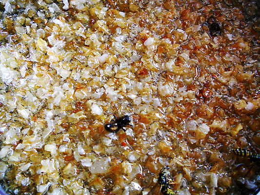 포토 JPG 해외이미지 모양 동물 음식 곤충 백그라운드 오렌지 자연 세포 건강 사람없음 야외 여름 약 농장 노란색 시골 신선 머리빗 황금 달콤 맛 꿀벌 벌 배열 묘사 질감 꽃가루 육각형 꿀 벌집 내추럴 고립 밀랍 양봉 양봉장 왁스 폴리곤 해외포토 도형 계절 컬러 컨셉 농업 과일 의학 미용용품 벌_곤충 가루 생태계 파일형식 이미지허브