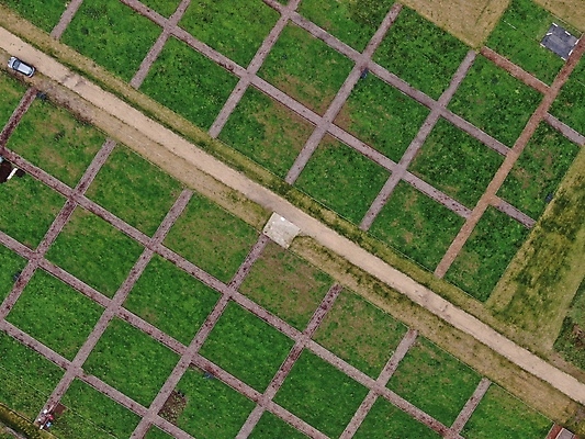 포토 JPG 해외이미지 패턴 새로움 안테나 사람없음 성장 유기농 원예 드론 해외포토 웰빙 컨셉 무늬 통신 취미 파일형식 이미지허브