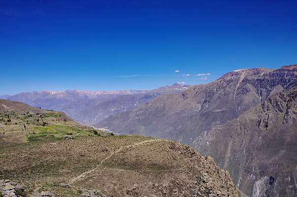 포토 JPG 해외이미지 공원 야생동물 여행 자연 조류 산 파노라마 풍경 사람없음 야외 초록색 강 골짜기 계곡 미국 하이킹 사막 관찰 가장자리 땅 고도 손목시계 언덕 머리위 멀리 깊이 잉카 페루 해외포토 동물 공공시설 시계 컬러 북아메리카 장신구 모션 레저 촬영기법 남아메리카 둘레 생태계 파일형식 이미지허브