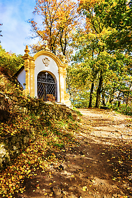 포토 JPG 해외이미지 나무 외관 계절 유럽 종교 여행 건축양식 주택 풍경 사람없음 야외 건물 교회 탑 가을 도시 역사 재산 발굴 신성 타운 천연기념물 바로크 복잡 슬로바키아 옛날 해외포토 식물 건축물 건축 나라 컨셉 종교건축 금융 파일형식 이미지허브