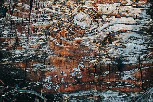 포토 JPG 해외이미지 벽 조각 패턴 날씨 추상 프레임 사람없음 목재 가로 빨간색 컬러풀 사진촬영 미국 페인트 손상 회색 경계선 판넬 주름 변화 닫기 낟알 자르기 가득함 고민 질감 캘리포니아 스크래치 층 한조각 외양간 그런지 옛날 줄서기 카피스페이스 해외포토 나무 1 감정 선 컬러 컨셉 북아메리카 무늬 재료 모션 촬영 공백 경계 파일형식 이미지허브