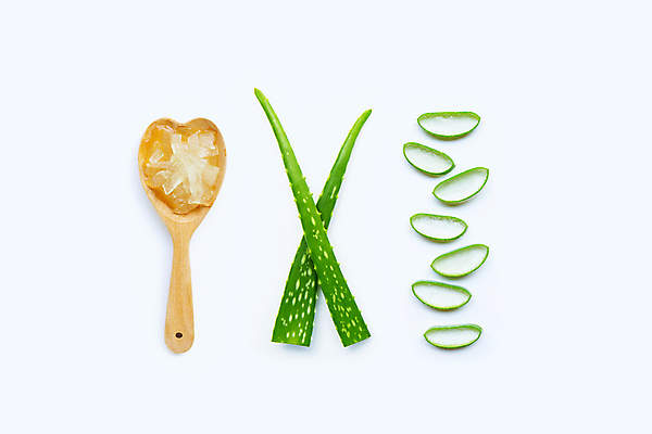 포토 JPG 해외이미지 스튜디오촬영 단면 실내 사람없음 하이앵글 흰배경 알로에 플랫레이 해외포토 식물 뷰포인트 백그라운드 내부 흰색 플랫 파일형식 이미지허브