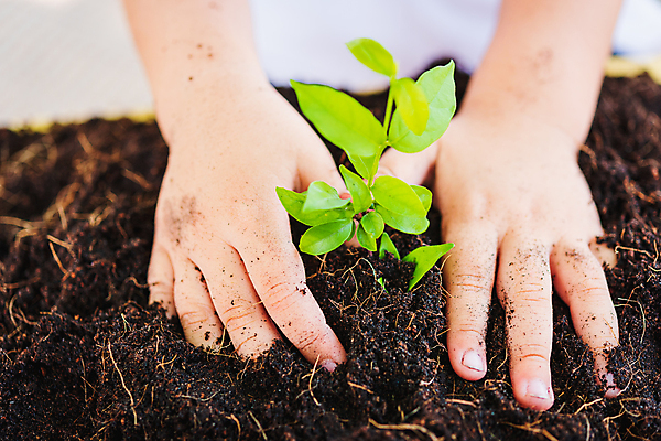 포토 JPG 해외이미지 주간 손 야외 신체부위 새싹 흙 해외포토 자연요소 식물 사람 파일형식 이미지허브