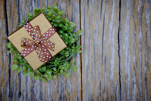 포토 JPG 해외이미지 디자인 꽃 행복 리본 종이 백그라운드 컨셉 잎 크리스마스 겨울 자연 휴가 새로움 발렌타인데이 선물 사랑 이벤트 사람없음 목재 장식 빨간색 초록색 상자 갈색 우주 놀람 수확 흰색 축하 인사 생일 널 정상 활 주기 에코 패키지 옛날 해외포토 나무 식물 계절 기념일 감정 컬러 농업 재료 모션 데이이벤트 표정 환경 예절 생태계 파일형식 이미지허브