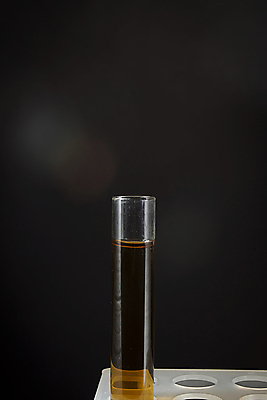 포토 JPG 해외이미지 과학 유리 실험 사람없음 약 장비 투명 액체 실험실 생명공학 약국 플라스크 분석 생물학 미생물 튜브 주사약 발견 조제 백신 화학물질 해외포토 교육 컨셉 의학 재질 생물 실험기구 화학 만들기 파일형식 이미지허브