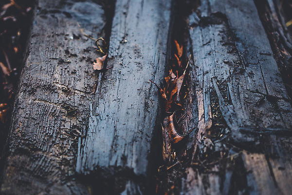 포토 JPG 해외이미지 선 백그라운드 패턴 추상 사람없음 목재 접속 질감 트랙 잡동사니 내추럴 선로 수목 썩음 옛날 해외포토 나무 무늬 재료 파일형식 이미지허브