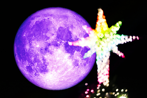 포토 JPG 해외이미지 식물 구름 실루엣 백그라운드 크리스마스 자연 하늘 사람없음 야외 가로 빨간색 빛 우주 침묵 황혼 새벽 할로윈 달 혈액 야간 저녁 신비 가득함 흙더미 광 해외포토 자연요소 기념일 컬러 컨셉 촬영기법 소리 일몰 흙 생태계 파일형식 더미 이미지허브