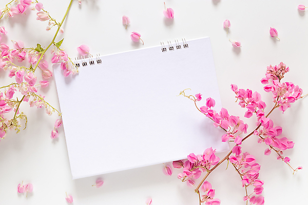 포토 JPG 해외이미지 디자인 꽃 행복 종이 분홍색 꽃다발 결혼 백그라운드 꽃무늬 텍스트 자연 휴가 프레임 발렌타인데이 사랑 사람없음 장식 여름 단어 쪽지 봄 공백 달력 벚꽃 흰색 축하 기록 인사 신용카드 개화 메시지 시간표 계획 편지 연도 월 고립 조언 카피스페이스 해외포토 식물 문자 계절 감정 컬러 컨셉 무늬 데이이벤트 이벤트 금융 예절 날짜 생태계 파일형식 이미지허브