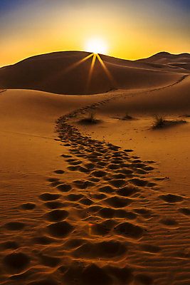 포토 JPG 해외이미지 모래 여행 백그라운드 오렌지 아프리카 자연 하늘 건조 풍경 사람없음 야외 노란색 일몰 사막 뜨거움 모래언덕 언덕 낙타 모로코 사하라 아랍어 카라반 해외포토 나라 컬러 과일 포유류 노을 생태계 캠핑카 파일형식 이미지허브