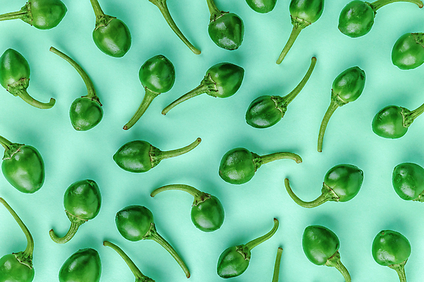 포토 JPG 해외이미지 잡화 줄기 채소 재료 자연 고추 불 파프리카 건강 사람없음 빨간색 초록색 농장 노란색 수확 성장 흰색 뜨거움 원형 체리 시장 닫기 달콤 상품 작음 큼 폭탄 인도인 향신료 싱글 유기농 매움 날것 후추 국산 칠레 보닛 고립 숙성 식용 온실 줄서기 할라피뇨 해외포토 자연요소 도형 외국인 식물 웰빙 컬러 농업 과일 모션 자동차 동양인 남아메리카 맛 크기 폭발물 생태계 향미료 파일형식 이미지허브