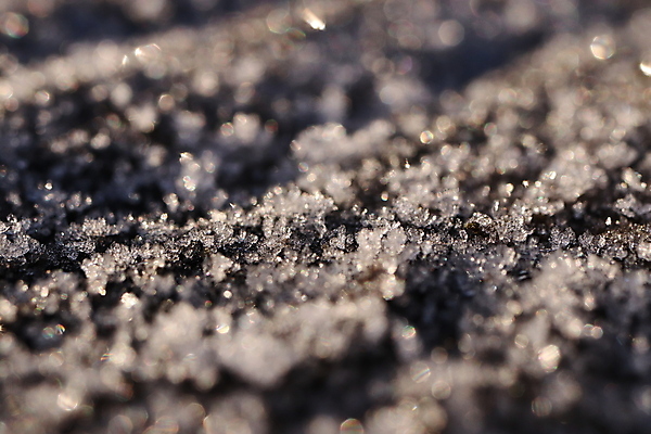 포토 JPG 해외이미지 나무 백그라운드 겨울 자연 날씨 사람없음 목재 냉동 얼음 어둠 추위 가을 숲 크리스탈 질감 서리 해외포토 자연요소 식물 계절 재료 광석 생태계 파일형식 이미지허브