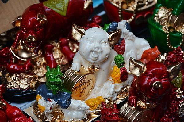 포토 JPG 해외이미지 동물 돈 사람없음 조각상 믿음 중국 피규어 돼지 행운 재산 연도 오브젝트 해외포토 감정 아시아 컨셉 포유류 금융 조형물 미니어처 파일형식 이미지허브