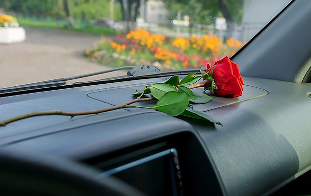포토 JPG 해외이미지 식물 꽃 행복 도로 분홍색 꽃다발 결혼 백그라운드 자동차 유리 결혼식 휴가 거리 실내 발렌타인데이 선물 사랑 사람없음 장식 빨간색 장미 축하 도시 판넬 기다림 고급 심볼 사인 주기 거짓말 계기판 자동 테마 해외포토 감정 길 육상교통 컬러 컨셉 교통시설 모션 데이이벤트 재질 이벤트 내부 파일형식 이미지허브