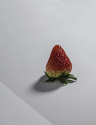 포토 JPG 해외이미지 음식 채소 과일 사람없음 망고 국산 해외포토 열대과일 파일형식 이미지허브