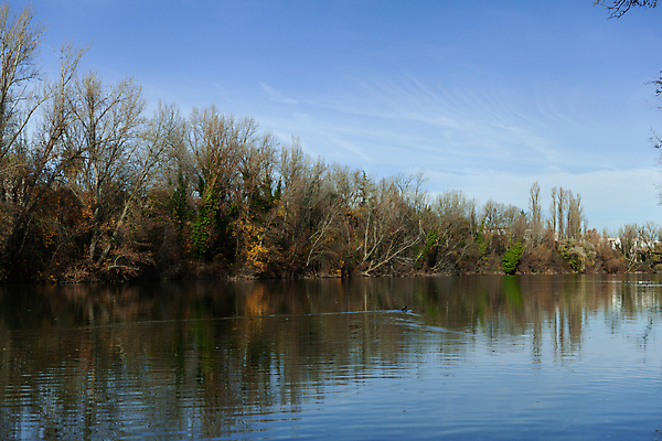 포토 JPG 해외이미지 나무 여행 건축양식 교통시설 자연 하늘 풍경 사람없음 야외 초록색 물 강 반사 도시 스페인 줄서기 해외포토 자연요소 식물 건축 유럽 컬러 교통 모션 시설 생태계 파일형식 이미지허브