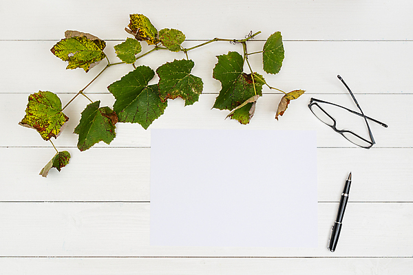 포토 JPG 해외이미지 디자인 종이 안경 백그라운드 컨셉 잎 비즈니스 텍스트 학교 자연 탁자 아이디어 미술 사람없음 목재 책 컬러풀 사무실 펜 갈색 노란색 우주 쪽지 공책 공백 흰색 기록 업무 쌍 그리기 메시지 정상 스케치 책상 오브젝트 그림 질감 문서 페이지 시트 해외포토 나무 식물 잡화 교육 컬러 가구 재료 모션 문화예술 문구용품 필기구 작업 생태계 파일형식 이미지허브