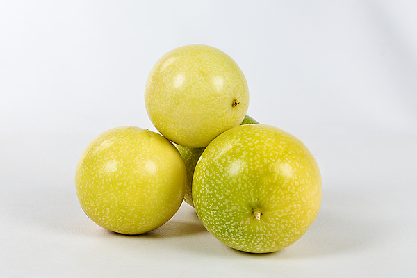 포토 JPG 해외이미지 음식 조각 백그라운드 잎 다이어트 과일 디저트 건강 씨앗 사람없음 빨간색 초록색 노란색 주스 흰색 신선 오픈 달콤 맛 떨어짐 자르기 묘사 오브젝트 싱글 유기농 열정 브라질 남쪽 내추럴 고립 숙성 이국적 해외포토 식물 웰빙 감정 음료 컬러 컨셉 모션 남아메리카 방향 파일형식 이미지허브