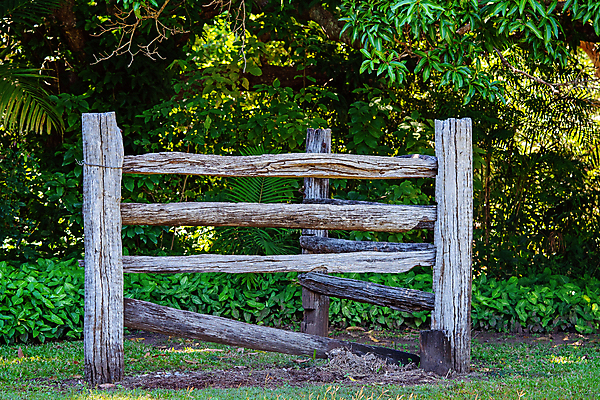 포토 JPG 해외이미지 나무 식물 계절 공원 잎 사람없음 야외 목재 가로 세로 초록색 울타리 햇빛 태양 정원 봄 수확 거친 떨어짐 숲 그늘 묘사 오브젝트 폐허 질감 복고 대문 나무껍질 깨짐 수목 썩음 옛날 그리너리 해외포토 자연요소 공공시설 컬러 컨셉 농업 재료 담장 문 껍질 파일형식 트랜드컬러 이미지허브