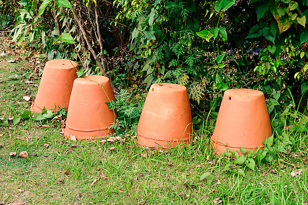 포토 JPG 해외이미지 식물 라이프스타일 디자인 꽃 화분 화초 백그라운드 단풍 잎 농업 사람없음 야외 장식 초록색 여름 정원 꽃병 성장 벚꽃 농촌 도자기 그룹 캔 농부 원예 식물원 조경 일렬 채소밭 해외포토 직업 계절 산업 컬러 밭 취미 생활 시골 파일형식 이미지허브