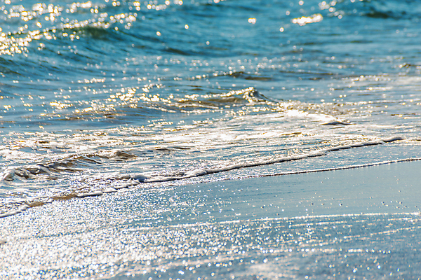 포토 JPG 해외이미지 모래 파도 바다 여행 백그라운드 자연 조류 표면 날씨 휴가 휴식 해변 사람없음 물 빛 햇빛 반사 거품 에너지 흰색 만 뜨거움 서핑 황금 닫기 떨어짐 매끈함 질감 웨이브 남쪽 석호 내추럴 파라다이스 해외포토 자연요소 동물 컬러 컨셉 모션 태양 수상스포츠 감각 방향 생태계 파일형식 이미지허브