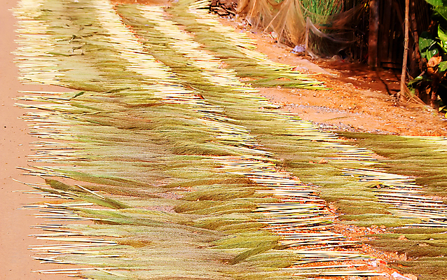 포토 JPG 해외이미지 식물 손 계절 도로 잎 가사 밭 가정 지팡이 주택 건조 손잡이 사람없음 야외 태양 갈색 노란색 광선 붓 빗자루 청소 허브 대나무 묘사 국자 질감 먼지 밀짚 청소부 내추럴 생태학 해외포토 자연요소 나무 직업 교육 길 컬러 농업 교통시설 주방용품 건물 신체부위 짚 청소도구 파일형식 이미지허브