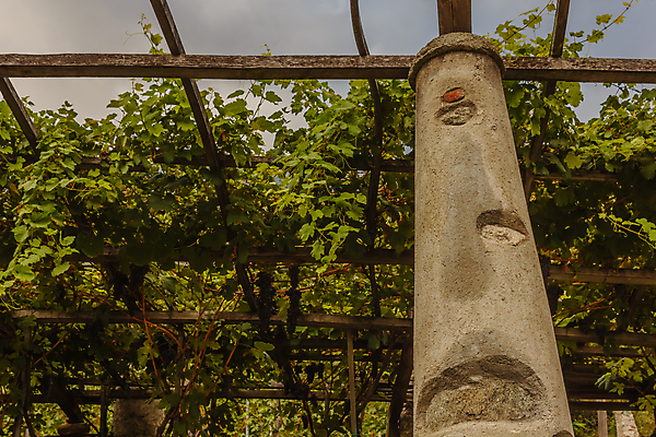 포토 JPG 해외이미지 구름 음료 잎 농업 건축양식 하늘 포도 사람없음 초록색 와인 검은색 이탈리아 바위 라임 산기슭 지원 해외포토 자연요소 식물 건축 유럽 산업 컬러 과일 산 주류 돌_바위 파일형식 이미지허브