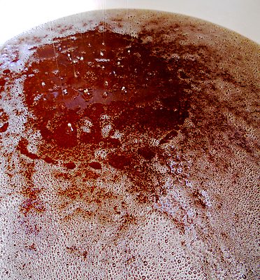 포토 JPG 해외이미지 음식 곤충 백그라운드 오렌지 건강 사람없음 야외 여름 약 노란색 흐름 물방울 시골 신선 머리빗 액체 황금 달콤 맛 떨어짐 꿀벌 벌 질감 날것 꽃가루 시럽 꿀 벌집 내추럴 밀랍 양봉 양봉장 어려움 왁스 해외포토 동물 계절 컬러 컨셉 과일 의학 미용용품 벌_곤충 가루 파일형식 이미지허브