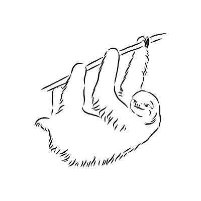 포토 JPG 해외이미지 나무 동물 손 디자인 실루엣 야생동물 백그라운드 일러스트 포유류 아프리카 자연 생물 털 동물원 미술 사람없음 그래픽 갈색 라벨 환경 검은색 수확 흰색 낙서 숲 만화 스케치 사파리 그림 복고 느림 게으름 고립 동물상 아마존 이국적 해외일러스트 식물 나라 컬러 컨셉 농업 문화예술 프레임 촬영기법 신체부위 조형물 생태계 파일형식 이미지허브