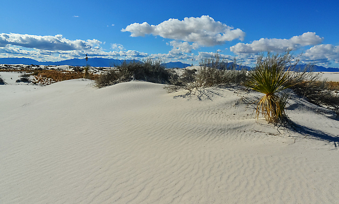 포토 JPG 해외이미지 식물 공원 여행 백그라운드 패턴 자연 하늘 건조 국립공원 풍경 사람없음 파란색 모래사장 미국 사막 흰색 황무지 모래언덕 부식 결정체 천연기념물 내추럴 잔물결 전국 해외포토 공공시설 물결 바다 컬러 북아메리카 무늬 언덕 생태계 파일형식 이미지허브