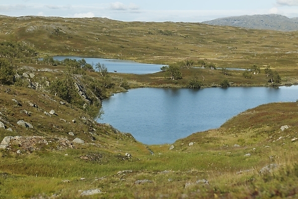 포토 JPG 해외이미지 나무 구름 공원 호수 야생동물 백그라운드 자연 하늘 아침 사슴 산 풍경 사람없음 야외 초록색 물 여름 햇빛 반사 계곡 맑음 숲 갈증 내추럴 순록 웅장함 해외포토 주간 자연요소 식물 동물 계절 공공시설 컬러 포유류 날씨 태양 생태계 파일형식 이미지허브