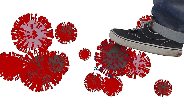 포토 JPG 해외이미지 사람없음 펼침 흰색 생물학 양발 해외포토 교육 컬러 모션 파일형식 이미지허브