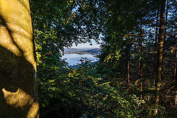 포토 JPG 해외이미지 나무 응시 계절 스포츠 여행 자국 모션 자연 휴가 휴식 거리 건강 사람없음 야외 초록색 물 여름 환경 골짜기 봄 하이킹 자유 시골 숲 배낭여행 천국 생태학 파멸 해외포토 자연요소 식물 시선 교육 컬러 컨셉 레저 생태계 파일형식 소멸 이미지허브