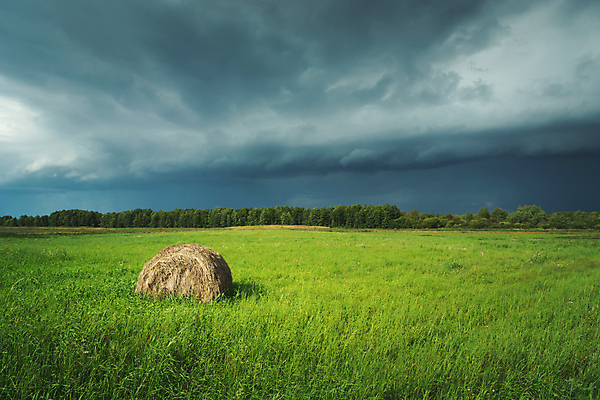 포토 JPG 해외이미지 구름 밭 농업 자연 하늘 날씨 건조 풍경 사람없음 초록색 여름 농작물 농장 노란색 쌓기 어둠 회색 수확 시골 원형 황금 건초더미 볏짚 땅 롤 폭풍 패키지 뭉치 밀짚 폭풍우 수평선 해외포토 자연요소 도형 계절 산업 컬러 모션 비_날씨 건초 짚 자연재해 생태계 파일형식 더미 이미지허브