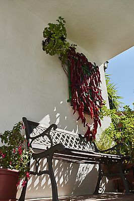 포토 JPG 해외이미지 전통 꽃 유럽 줄 벤치 주택 건조 매달리기 그림자 사람없음 장식 빨간색 햇빛 우주 정원 맑음 화환 성장 흰색 시골 오픈 뜨거움 양념 그룹 닫기 다발 향신료 지역 향료 후추 칠레 셔터 밭일 특별함 많음 해외포토 식물 나라 컬러 컨셉 의자 모션 날씨 건물 태양 남아메리카 향기 냄새 향미료 파일형식 이미지허브