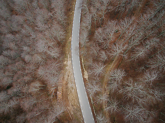 포토 JPG 해외이미지 나무 계절 도로 여행 자연 바람 전등 안테나 풍경 사람없음 컬러풀 운전 가을 소나무 정상 야간 숲 내추럴 고립 넘어짐 드론 혼자 해외포토 자연요소 식물 길 컬러 통신 교통시설 모션 날씨 조명 생태계 파일형식 이미지허브