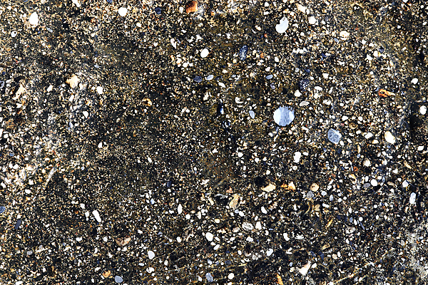 포토 JPG 해외이미지 모래 파도 바다 여행 백그라운드 자연 풍경 해변 사람없음 야외 물 여름 빛 모래사장 햇빛 질감 칠면조 내추럴 이국적 해외포토 자연요소 계절 조류 태양 생태계 파일형식 이미지허브